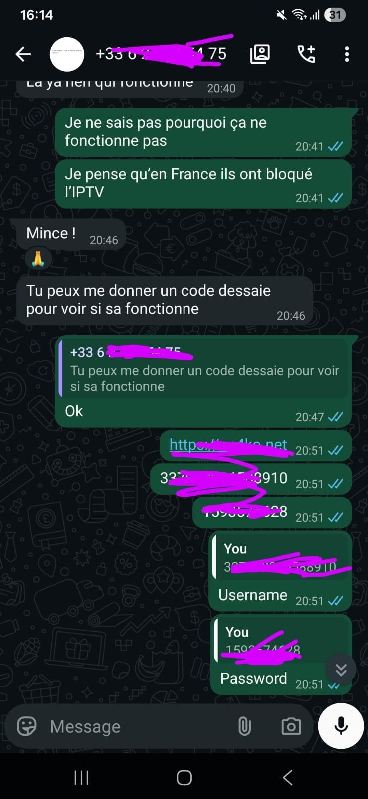 WhatsApp Image 2026-04-11 at 16.22.31